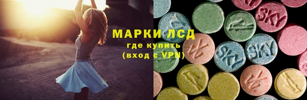 стаф Инта