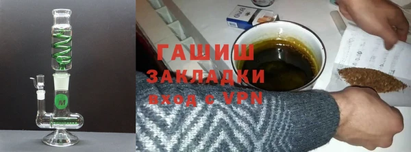 стаф Инта