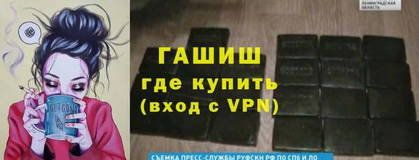 стаф Инта