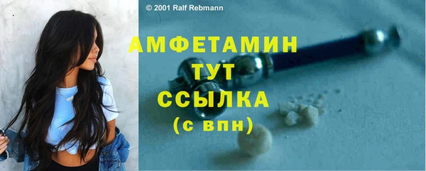 стаф Инта