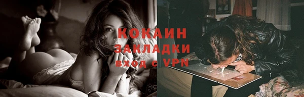 стаф Инта