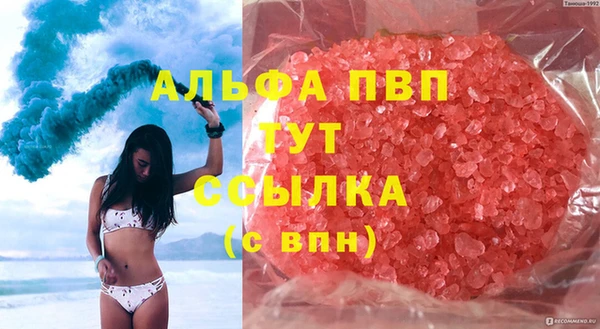 стаф Инта