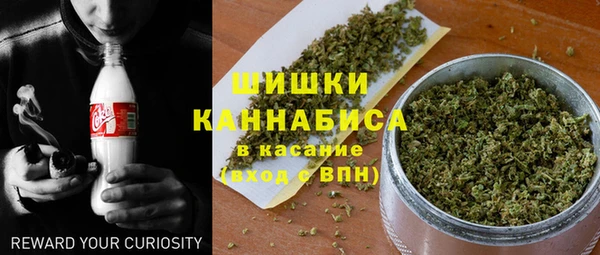 стаф Инта