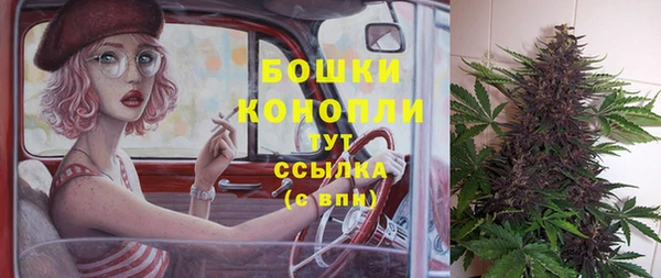 стаф Инта