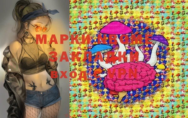 стаф Инта