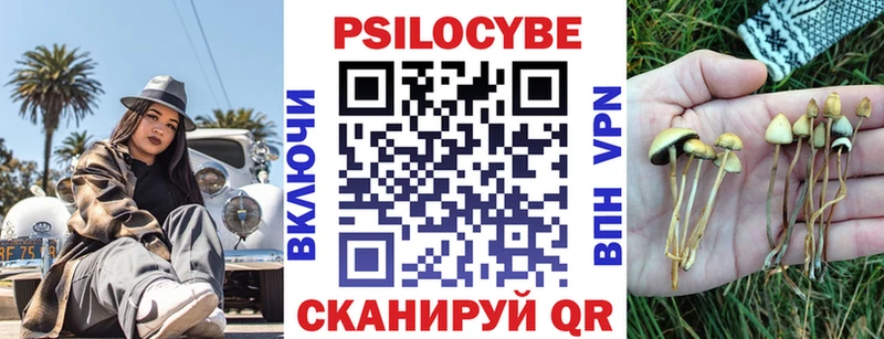 Купить закладки  Терек  Галлюциногенные грибы Magic Shrooms 